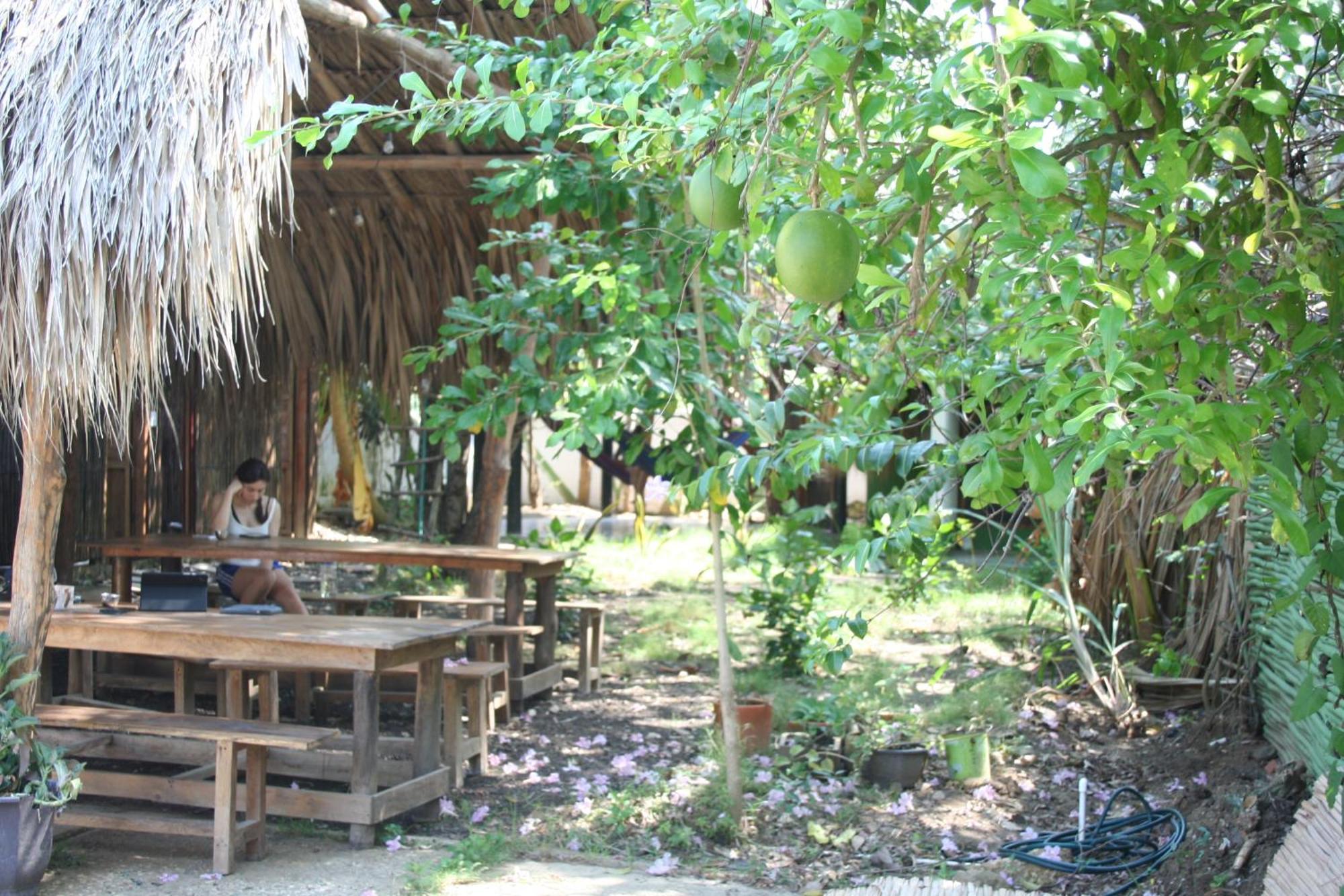Hostel Nugeku Rincón エクステリア 写真